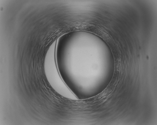X0000054451298200507290941