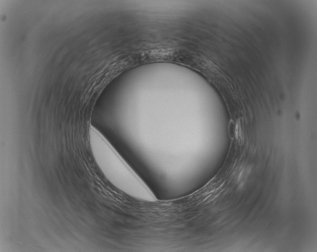 X0000054451299200507290941