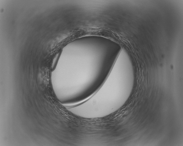 X0000054451301200507290941