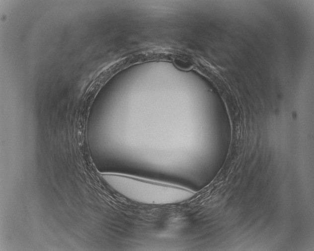 X0000054451303200507290941