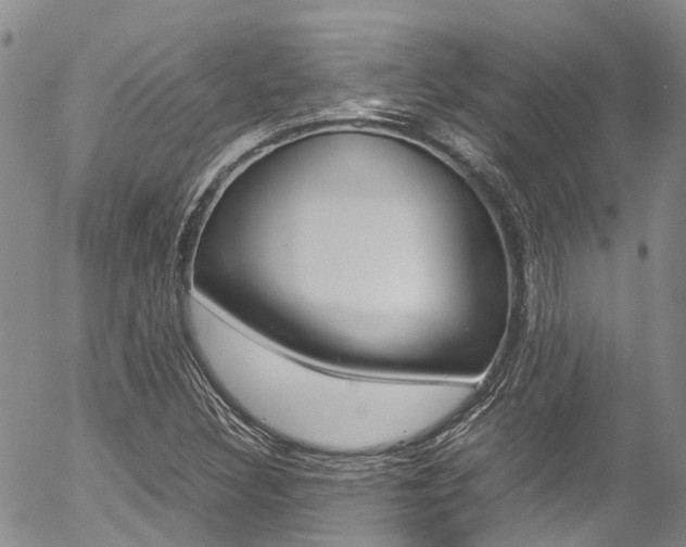 X0000054451308200507290941