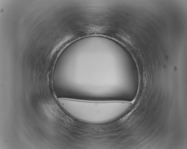 X0000054451309200507290941