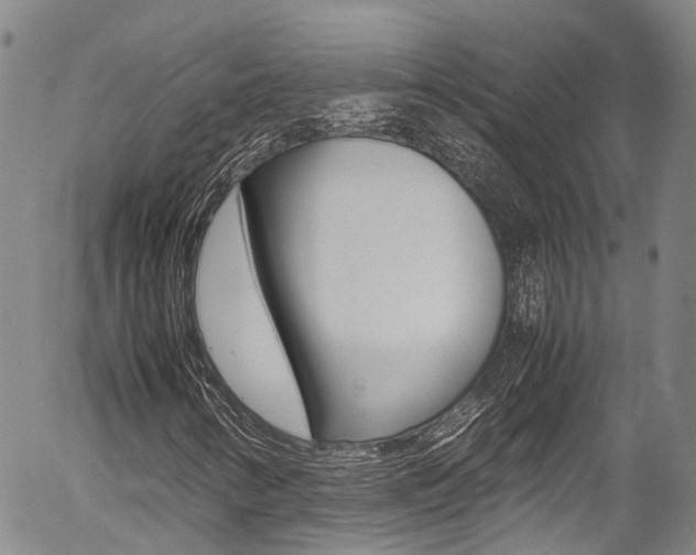 X0000054451346200507290941