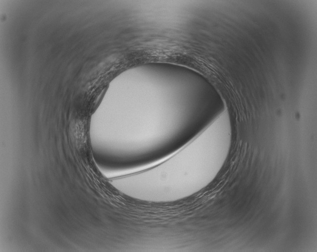 X0000054451347200507290941