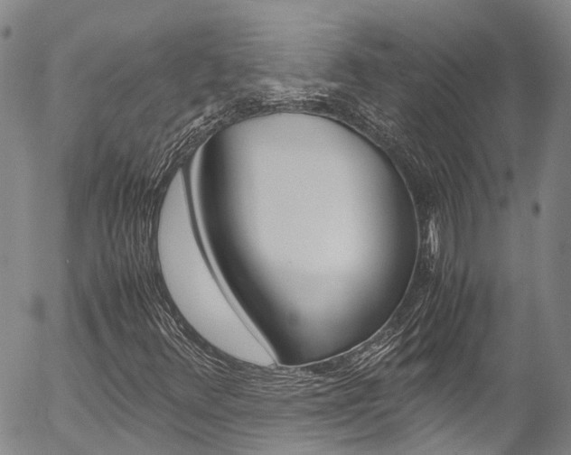 X0000054451348200507290941