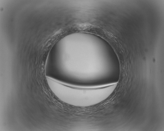 X0000054451349200507290941
