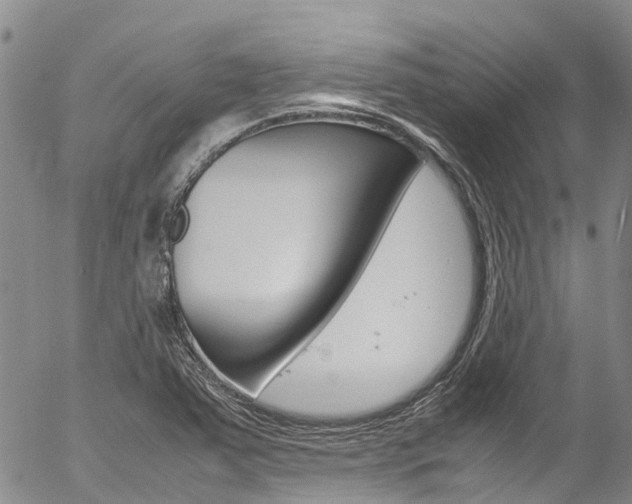 X0000054451363200507290941