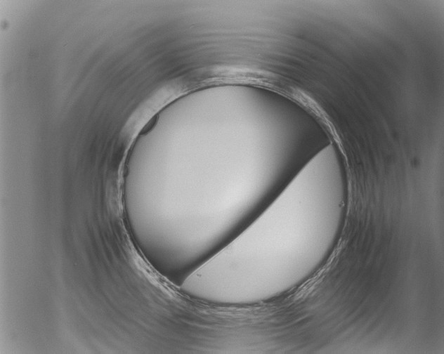 X0000054451386200507290940