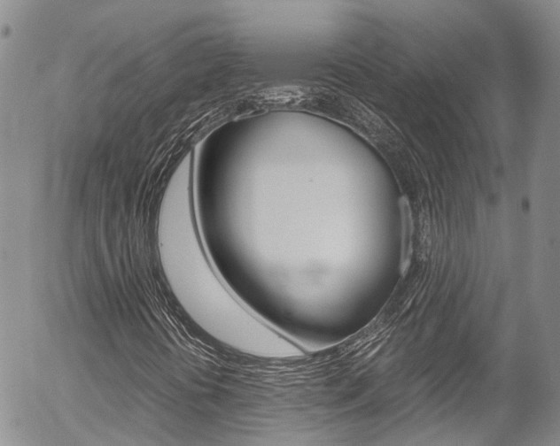 X0000054451394200507290939