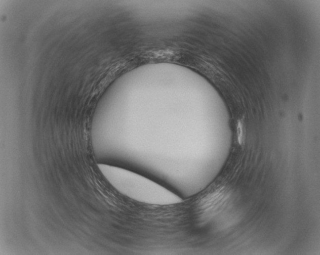 X0000054451395200507290939