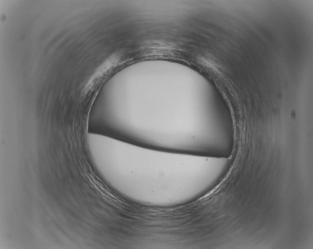 X0000054451403200507290940
