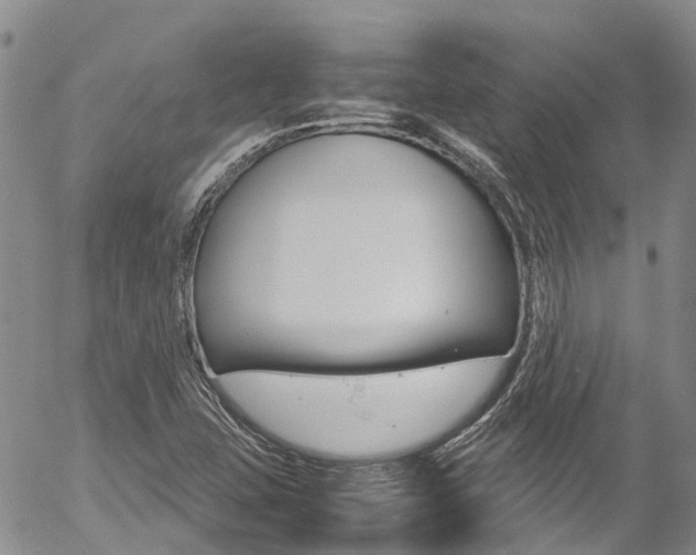 X0000054451407200507290940