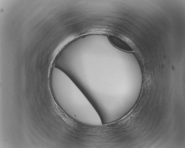 X0000054451427200507290940