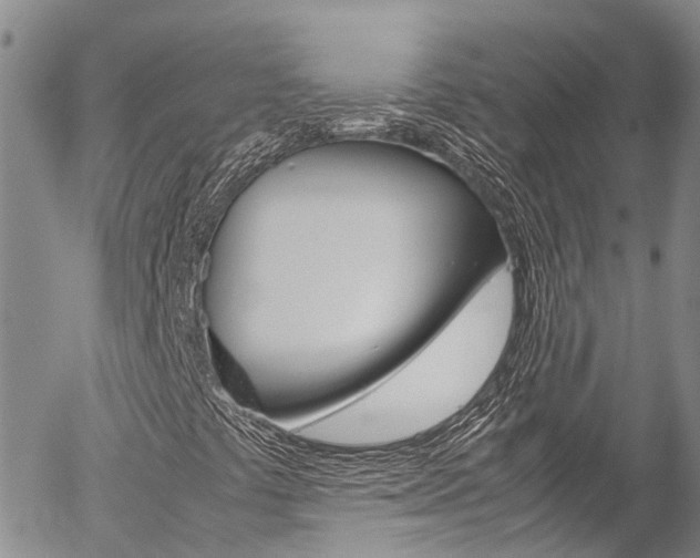 X0000054451441200507290939