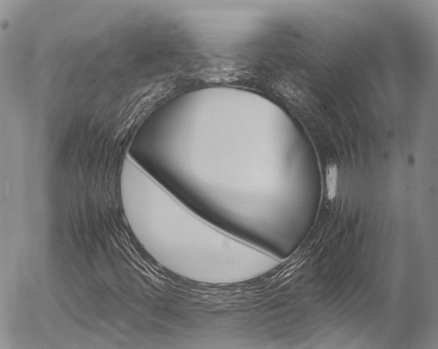 X0000054451444200507290939