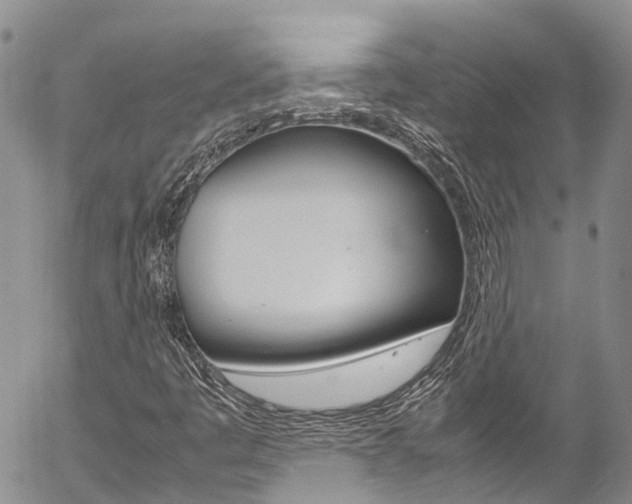 X0000054451445200507290939