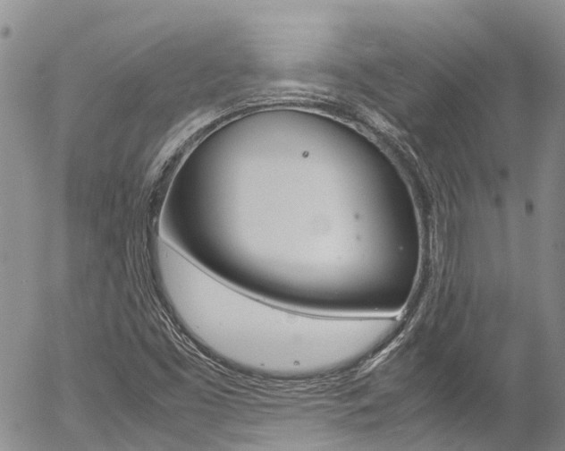 X0000054451453200507290939