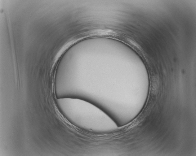 X0000054451467200507290939