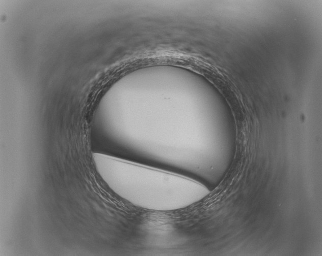 X0000054451493200507290938