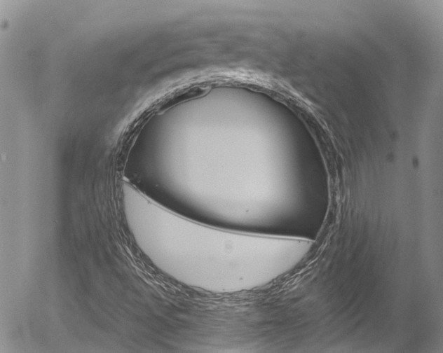 X0000054451496200507290938