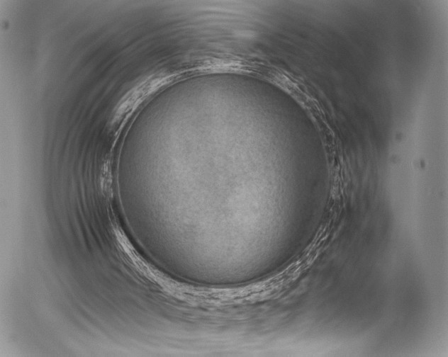 X0000054450002200507291329