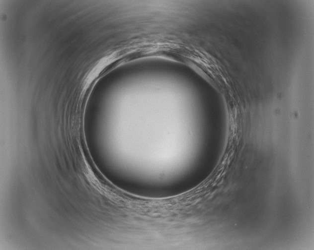 X0000054450003200507291329