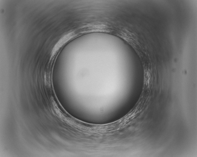 X0000054450004200507291329