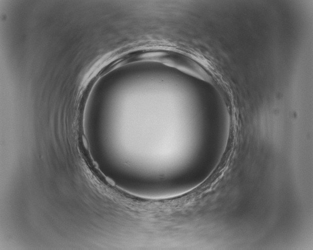 X0000054450007200507291329