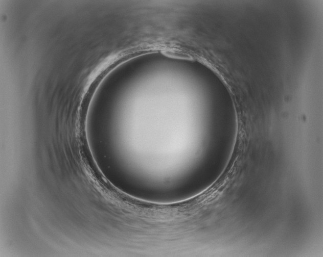 X0000054450008200507291329