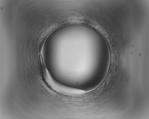 X0000054450009200507291328