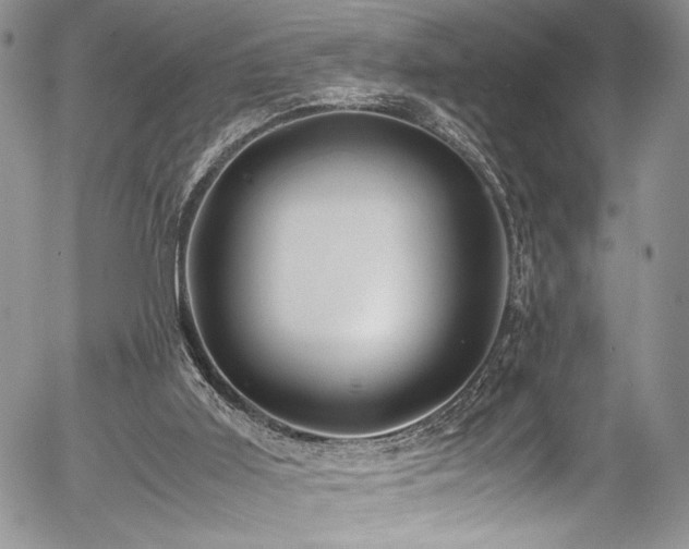 X0000054450011200507291328