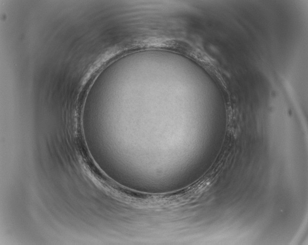 X0000054450012200507291328