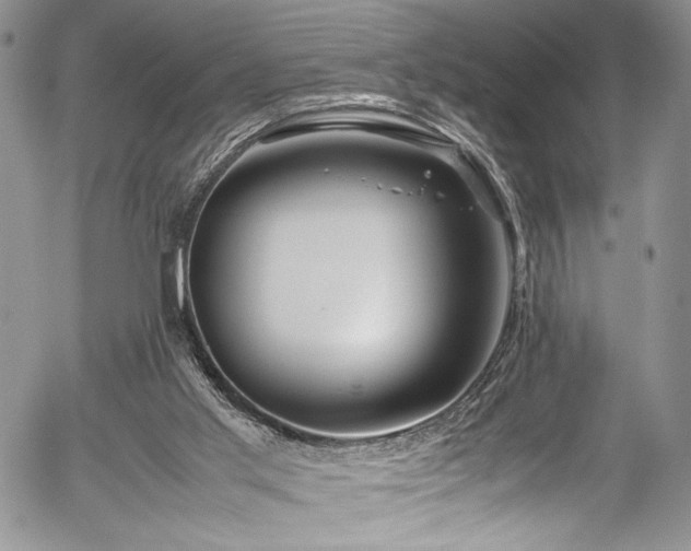 X0000054450013200507291328