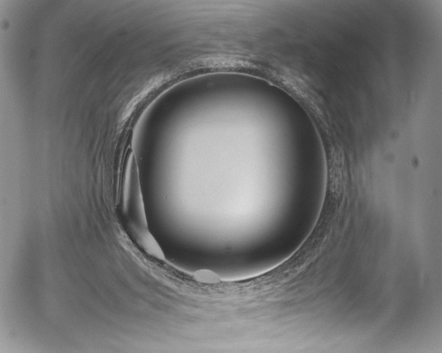 X0000054450015200507291328