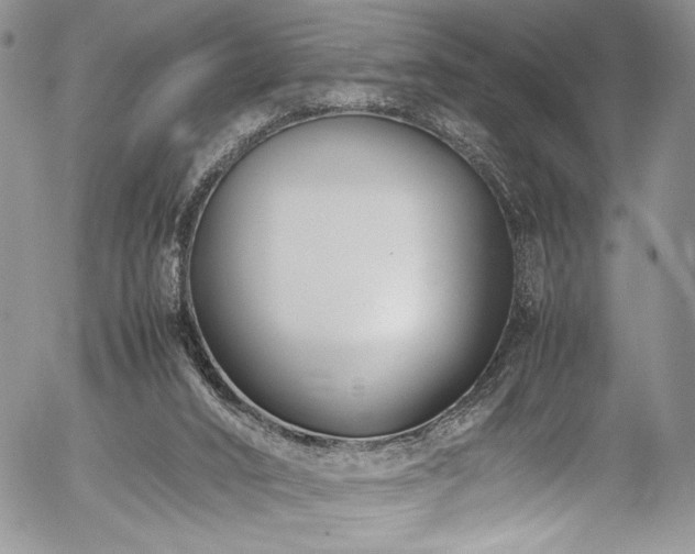 X0000054450016200507291328