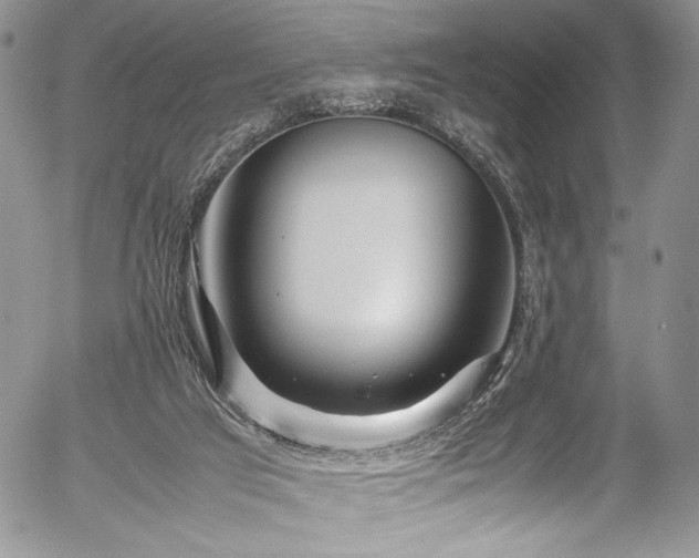X0000054450017200507291328
