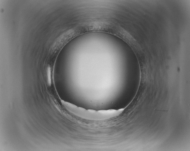 X0000054450022200507291328