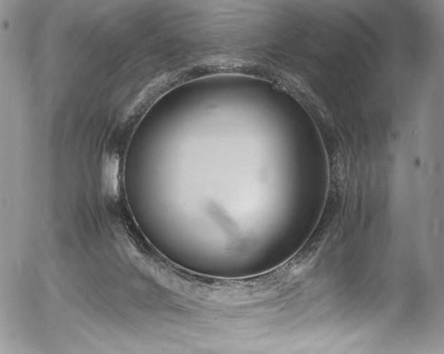 X0000054450024200507291328