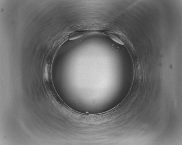 X0000054450026200507291328