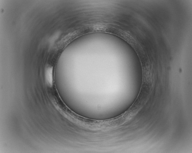 X0000054450028200507291328