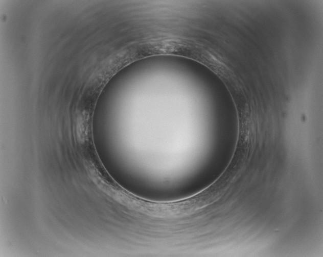 X0000054450030200507291328
