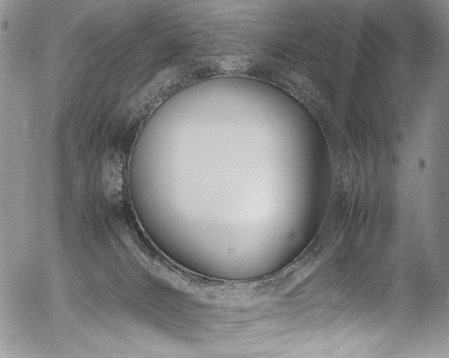 X0000054450032200507291328