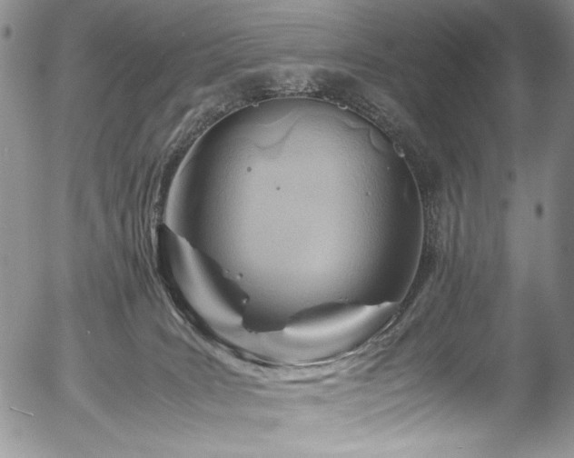 X0000054450035200507291328