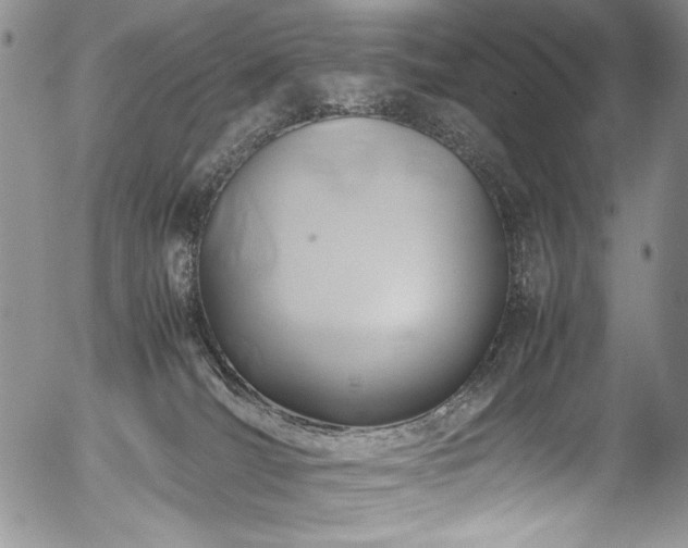 X0000054450036200507291328