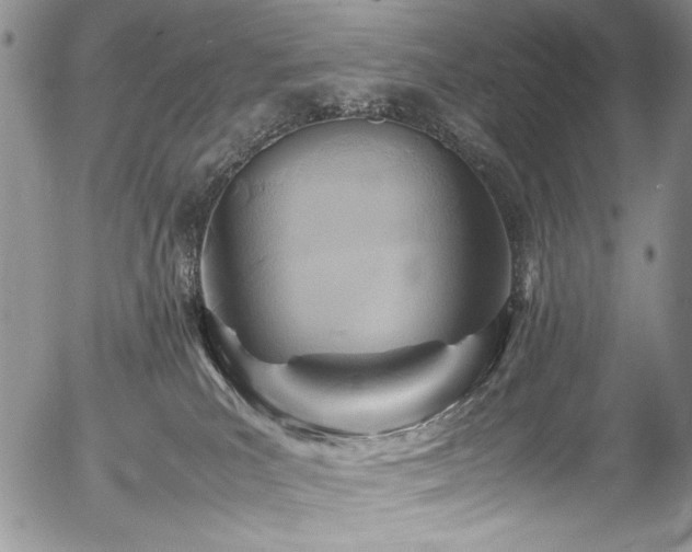 X0000054450039200507291328