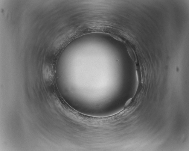 X0000054450040200507291328
