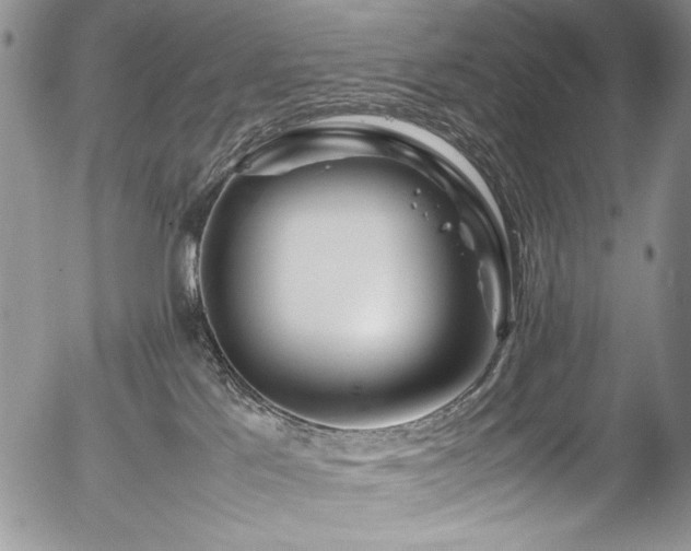 X0000054450041200507291328
