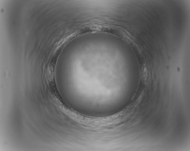 X0000054450043200507291328