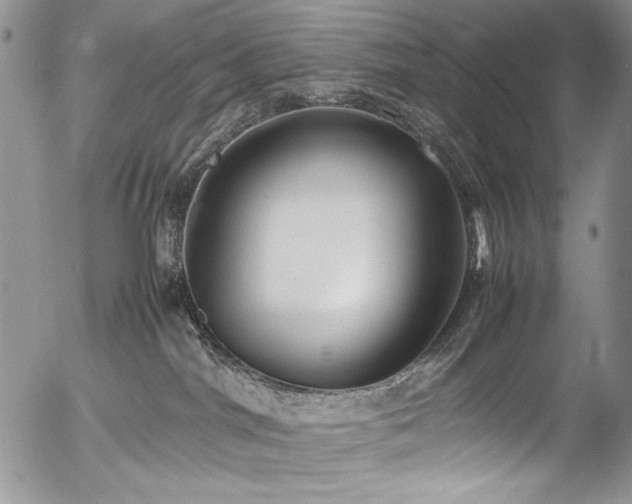 X0000054450044200507291328