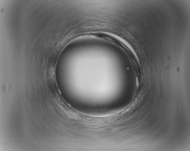 X0000054450045200507291328